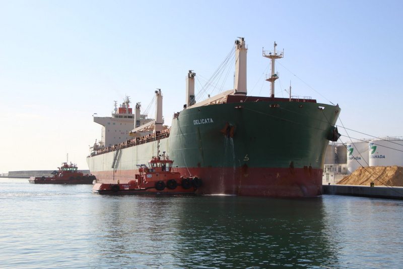 El Puerto de Motril recibe buques cada vez de mayor tonelaje lo que se traduce - Noticia Puerto de Motril